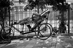 PhotoA_streetsofIndia_02