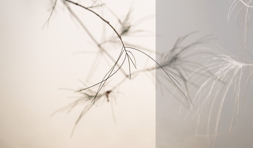 fine art photography
