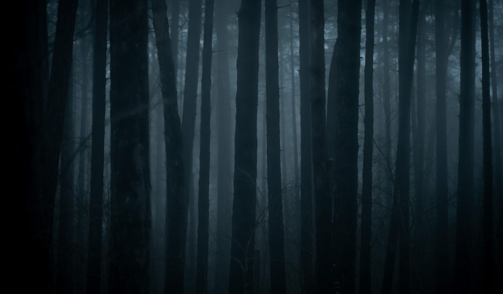 fine art photography